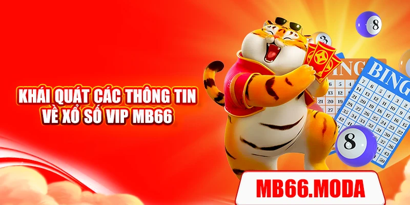 Khái quát các thông tin về xổ số VIP MB66