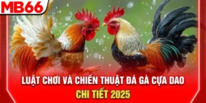 luat choi va chien thuat da ga cua dao chi tiet 2025 300x150 1
